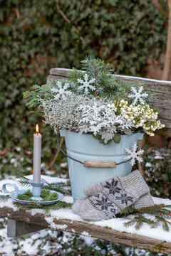Arrangement mit einer Kerze, Torfmyrte (Pernettya mucronata), Siberblatt (Senecio maritima,), Stacheldrahtpflanze (Calocephalus brownii,) und Koniferenzweigen im alten Eimer im Wintergarten