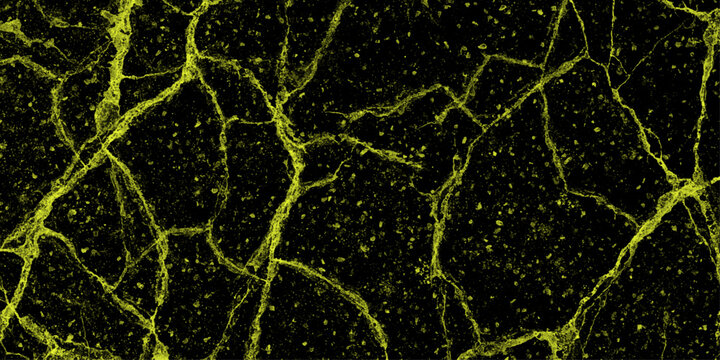Abstract green and black background, interesting structure pattern on green, liquid web vector illustration. Old cracked claystone texture, earth tone palette, natural crack network, macro sharp. 