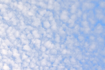 Blue sky with small fluffy cotton like white altocumulus clouds 