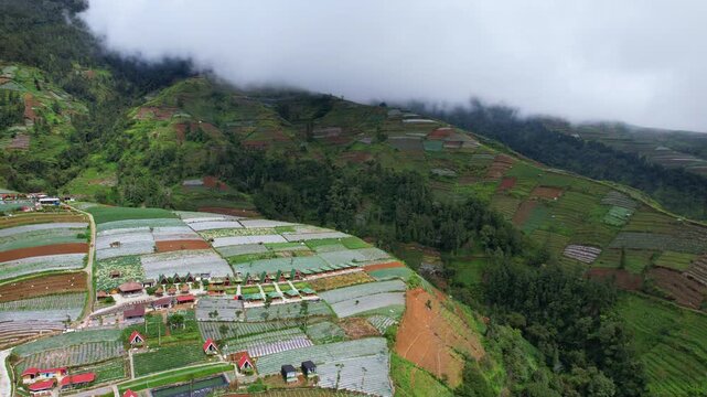 Aerial drone footage of wooden glamping villas, vegetables agricultural fields on the edge of Sumbing volcano, in Bangli, Java island, Indonesia, with a forest slope behind, in a cloudy atmosphere