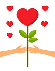Two hands holding a heart-shaped flower