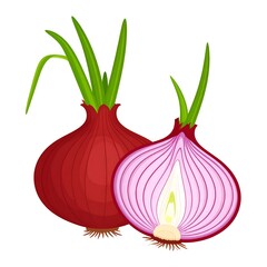 Two red onions, one whole and one sliced, with green shoots