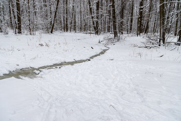 Unfrozen stream in snowy forest landscape