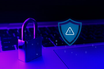 software security assessment , vulnerability check