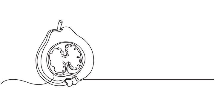Guava one continuous line design. Fruits symbol design concept. Decorative elements drawn on a white background, guava farang fruit one solid line vector illustration, single minimal line drawing pro