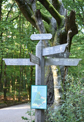 Wegweiser am Gro&szlig;er Stern auf dem Dar&szlig;