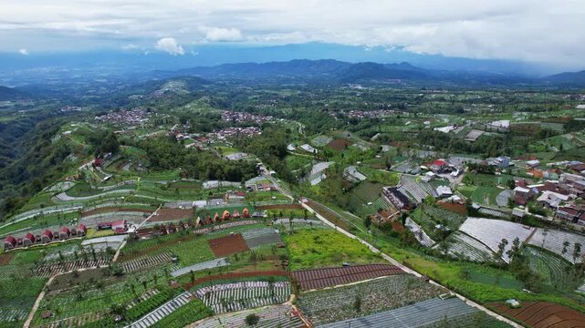Aerial diving drone footage of wooden glamping villas, villages, and vegetables agricultural fields on the edge of Sumbing volcano, in Bangli, Java island, Indonesia