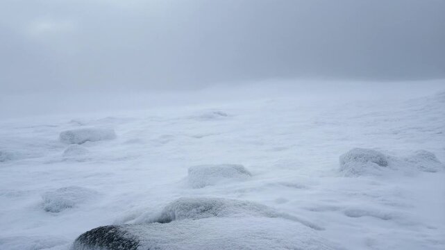 Snowy landscape transformation in blustery winter storm
