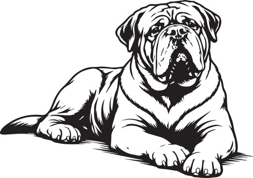 relaxing dogue de bordeaux