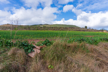 The Camino de Santiago in Cirauqui, between Puente de la Reina and Estella in Spain