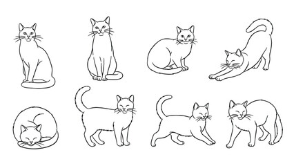 Set Of Nine Cat Sketches In Various Poses For Greeting, Home, Or Social Media Use © SHAMIM