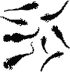 Silhouette of various tadpole shapes swimming in different directions Vector Illustration