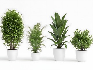 Four Green Potted Plants Against White Background green plants white pots indoor plants