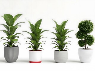 Four Green Potted Plants Against White Wall green leaves gray pot white pots