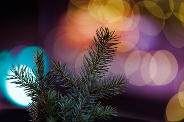 Fir branch with colorful festive bokeh lights. Fir branch against vibrant blurred festive lights,...