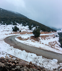 Road Through the Winter Hills