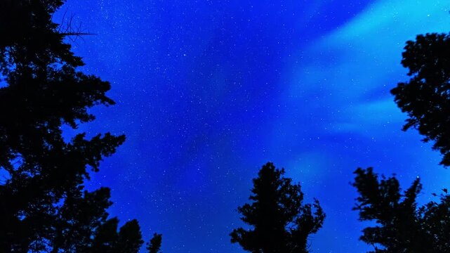 High intensity northern lights above in the sky 