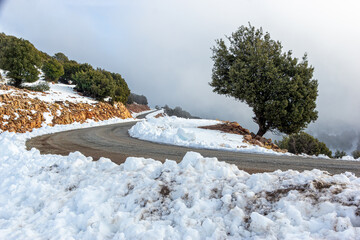 Road Through the Winter Hills