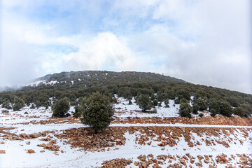 the Winter Hills