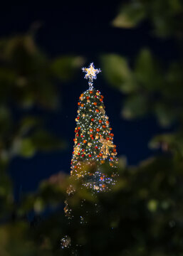 Illuminated Christmas tree top with star framed by dark leaves at night in Jerusalem.