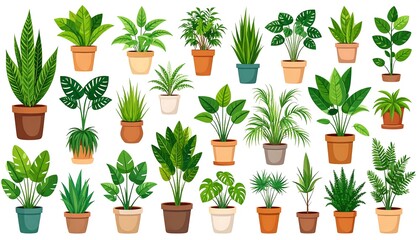 Various houseplants in pots