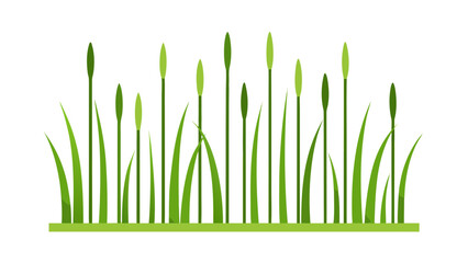 meadow with tall thin vertical lines representing for web and graphic design