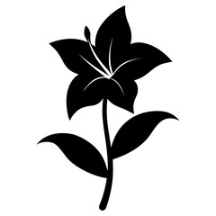 hemerocallis lilioasphodelus with leaves