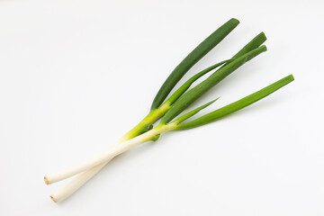 ネギ 生野菜 白背景
