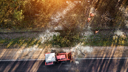 clearing the roadside of bushes and trees along the road top view