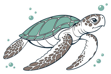 Ocean sea turtle aquatic animal isolated on clean white background