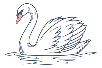 Graceful swan swimming on tranquil water isolated on white background