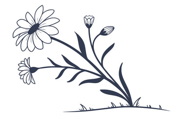 Natural wildflower floral beauty isolated on white background