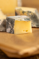 an old spoiled orange cheese with a lot of colorful mold, an inedible cheese that was spoiled during the improper storage, the cheese is covered with mold dangerous to health