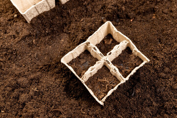 basil seeds and earth-filled cardboard pots for seedlings with fertile brown soil, close up