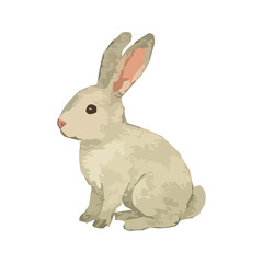 Obraz premium watercolor Chinese zodiac rabbit