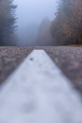 cloudy weather with a gray nondescript sky, thick fog in the morning due to climate change, a country road with yellowing trees on the edge of the road in the autumn season,