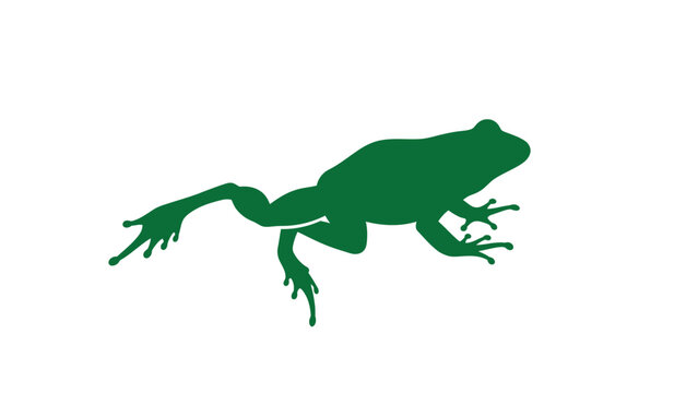 Green Frog Silhouette Leaping Through Air.
