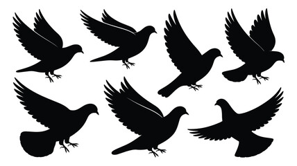 Fototapeta premium Silhouettes of Seven Doves in Flight with Wings Spread pigeon bird