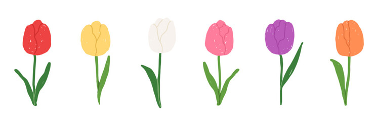 Set of hand-draw colorful tulip flowers isolated on white background. Flat vector tulips for greeting card, spring decoration, banner.