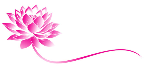 vector pink lotus flower illustration on transparent background