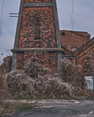 Abandoned industrial brick building with weathered walls and overgrown dry vegetation. Old factory ruins under a moody overcast sky, showcasing urban decay and historical architecture.