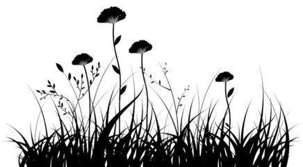 Silhouette of Wild Plants with Flowers on Transparent Background for Nature Illustration and Design Botanical Graphic with Meadow Grass