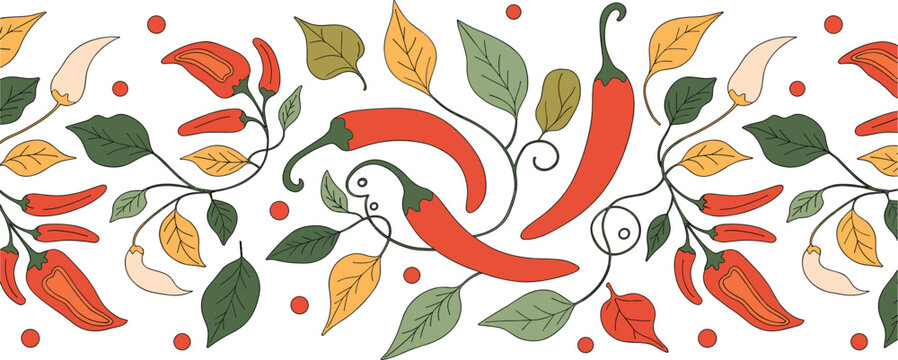 Red chili pepper and fall leaf border vector, hand drawn botanical pattern with spicy peppers and autumn foliage on white background