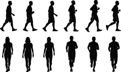 Here is the optimized title and keyword list for your Adobe Stock submission, focusing on SEO and the specific visual elements of the image. © Mim