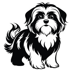 shih tzu line art silhouette vector illustration