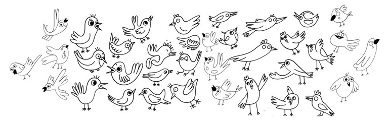 Collection of cute, handdrawn doodle bird sketches in black outline isolated on