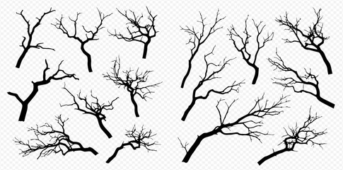 Collection of bare tree branches silhouettes, isolated on transparent background, perfect for spooky designs and natural elements. © Akun