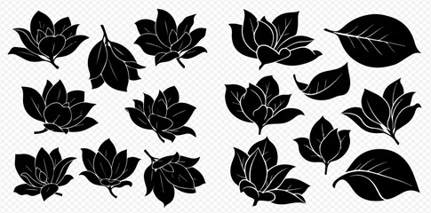 Set of black silhouettes of magnolia flowers and leaves, elegant floral design elements. © Akun