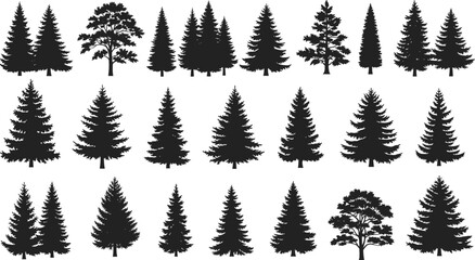 Assortment of black silhouettes of coniferous and deciduous trees Keywords: tree, trees, silhouette, black, white background © ripon29