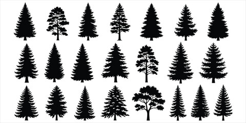 Fototapeta premium Assortment of twenty black silhouette coniferous trees and one deciduous tree pine